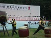 2011花見川区民祭り